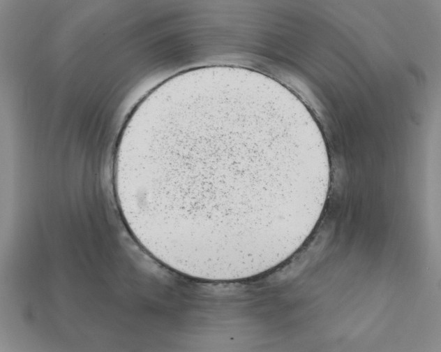 X0000111940952200909071257