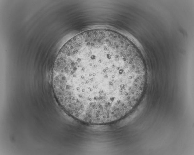 X0000111940953200909071257