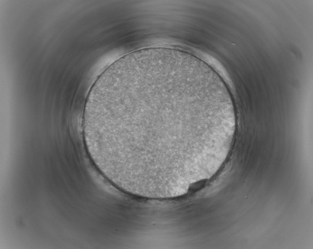 X0000111940954200909071257
