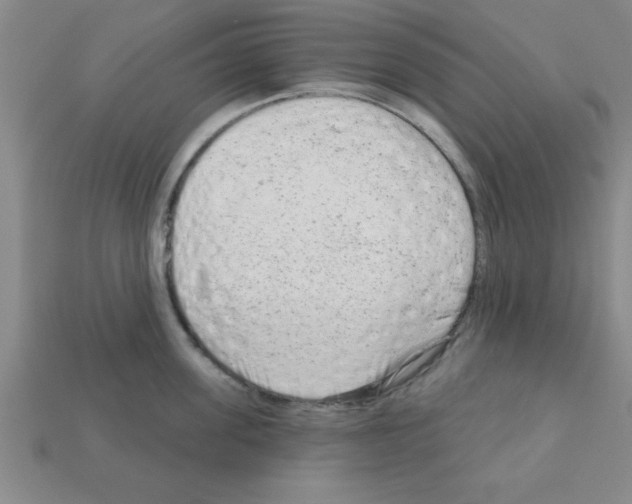 X0000111940955200909071257