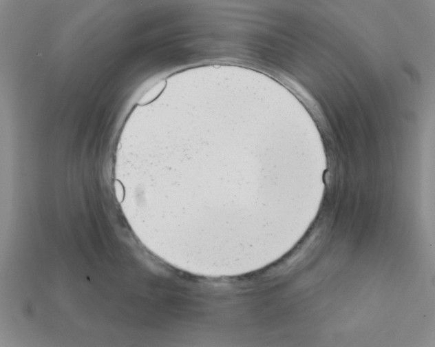 X0000111940956200909071257