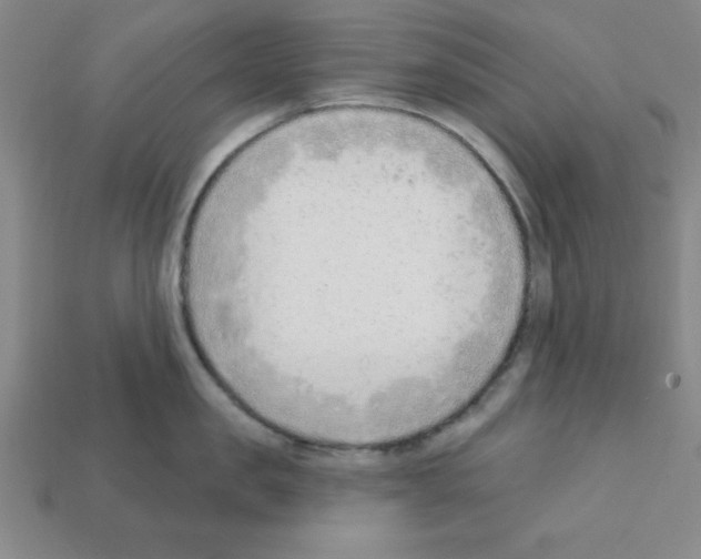 X0000111940957200909071257