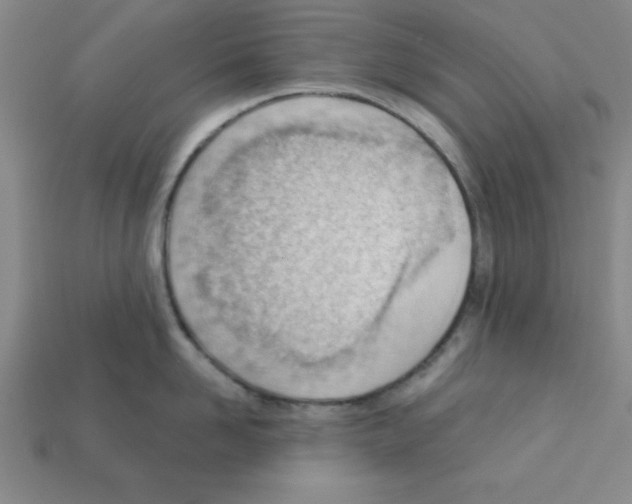 X0000111940958200909071257
