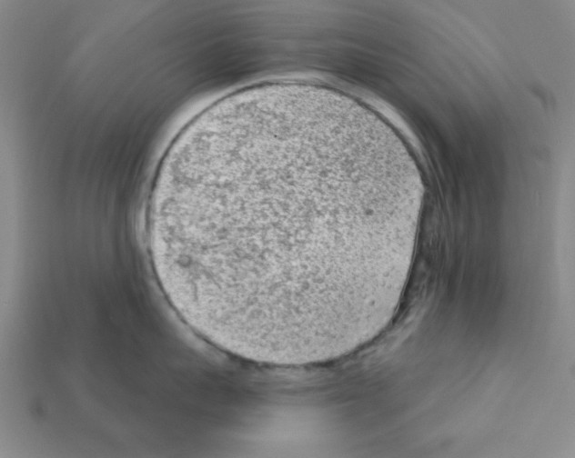X0000111940959200909071257