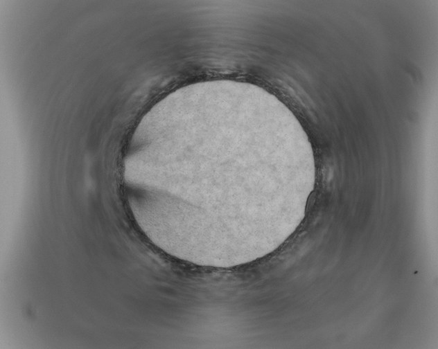 X0000111940961200909071256