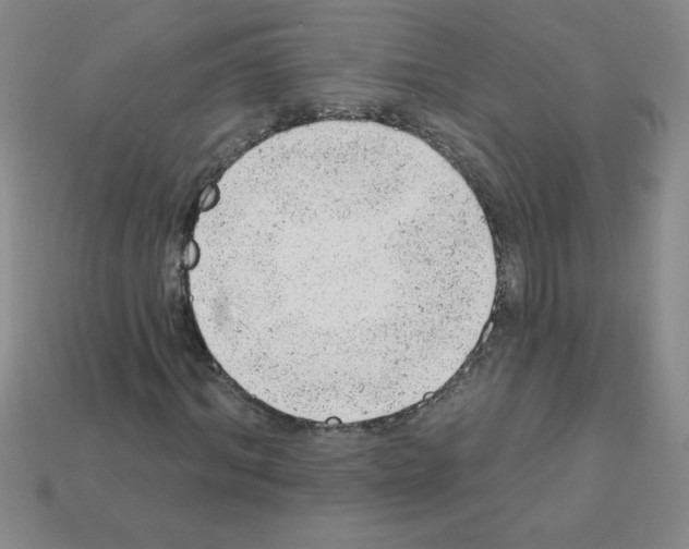 X0000111940964200909071256