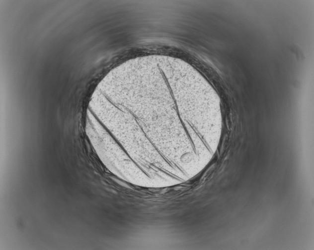 X0000111940965200909071256