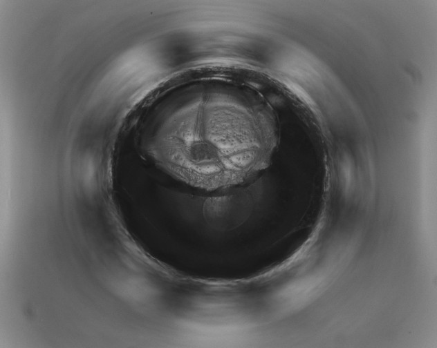X0000111940969200909071256