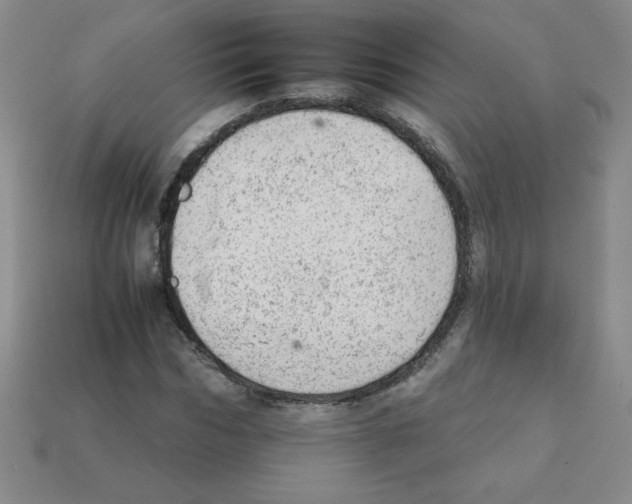 X0000111940970200909071256