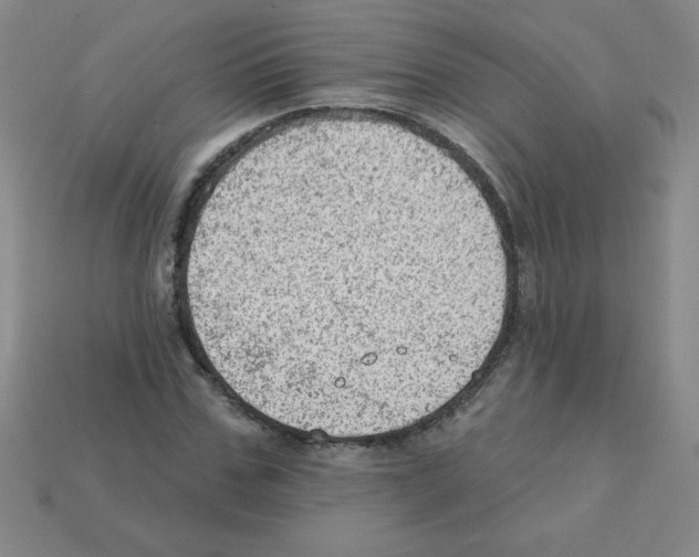 X0000111940971200909071256