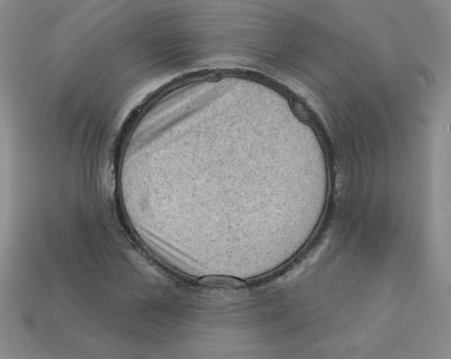 X0000111940973200909071256