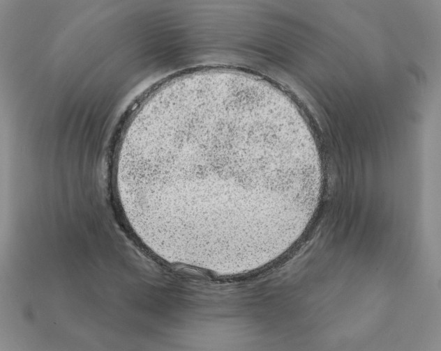 X0000111940975200909071256
