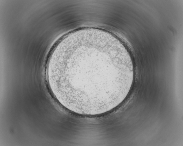 X0000111940976200909071256