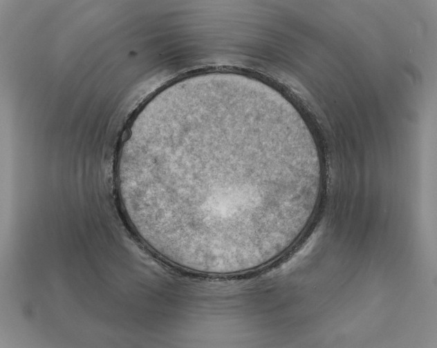 X0000111940977200909071256