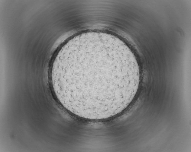 X0000111940978200909071256