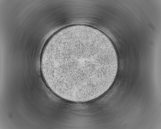 X0000111940980200909071256