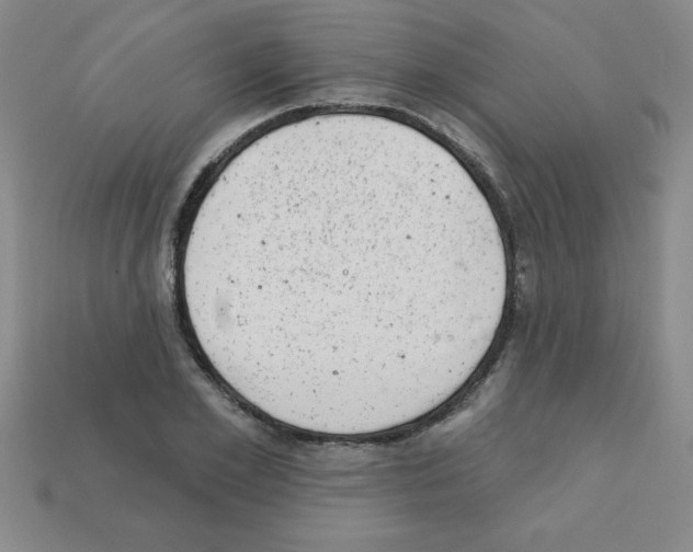 X0000111940981200909071256