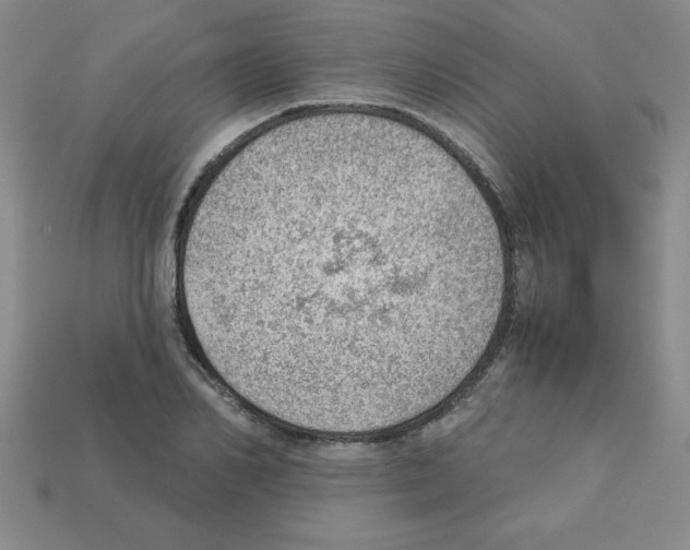 X0000111940982200909071256