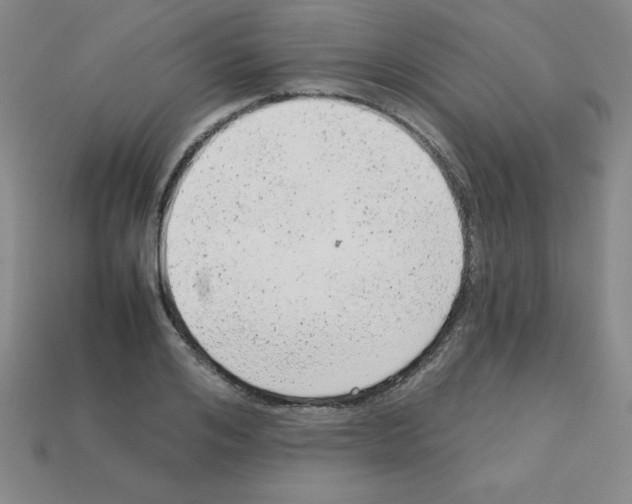 X0000111940984200909071256