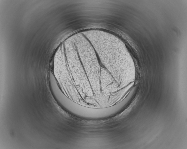 X0000111940985200909071256