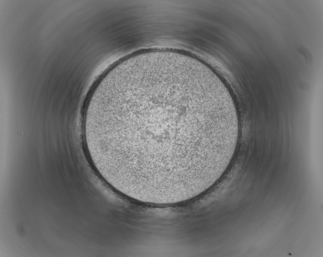 X0000111940990200909071256