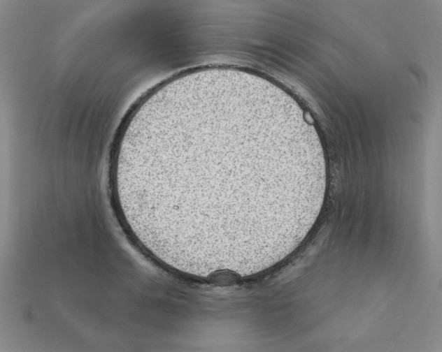 X0000111940991200909071256