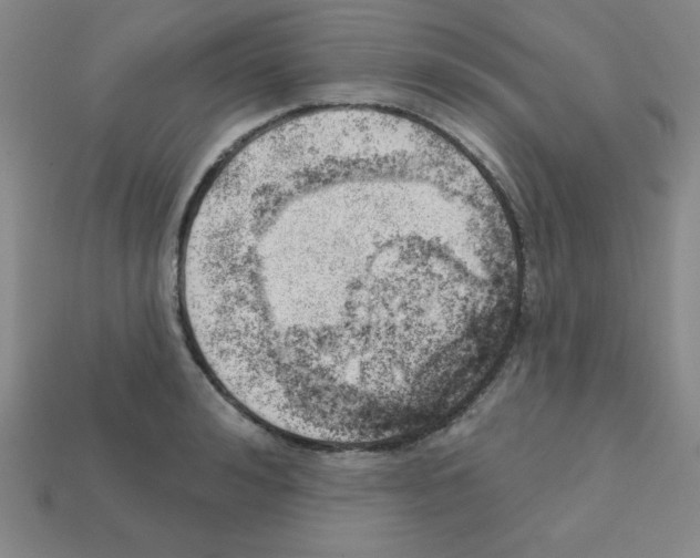 X0000111940992200909071256