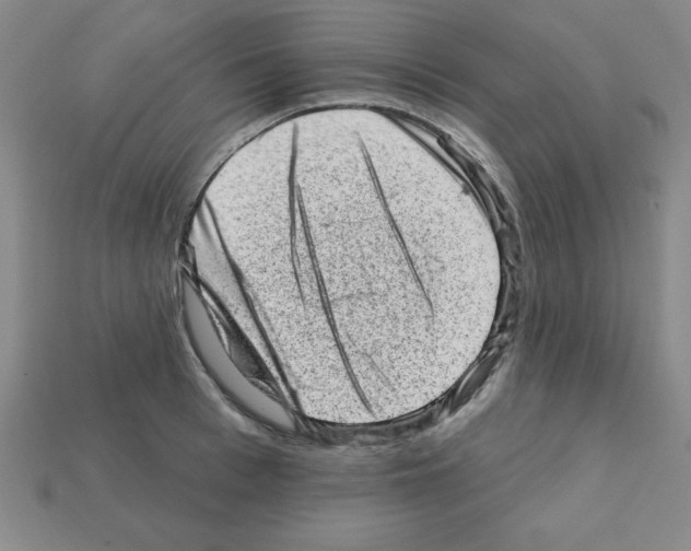 X0000111940993200909071256