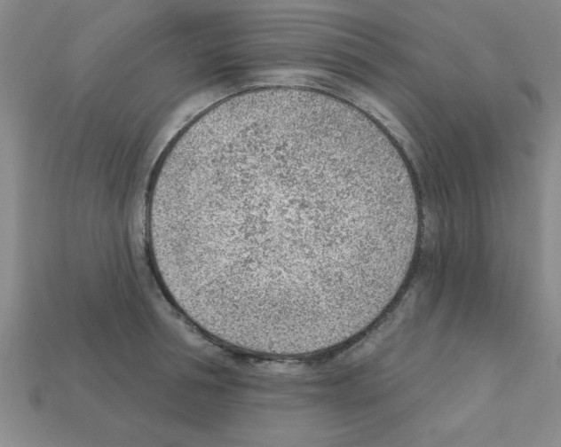 X0000111940994200909071256