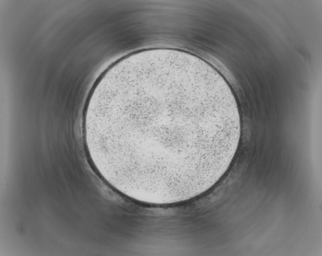 X0000111940996200909071256