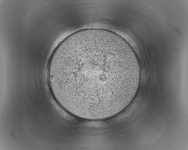 X0000111940998200909071256