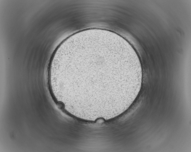 X0000111940999200909071256