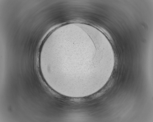 X0000111941000200909071256