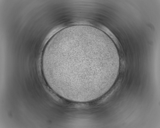 X0000111941002200909071256