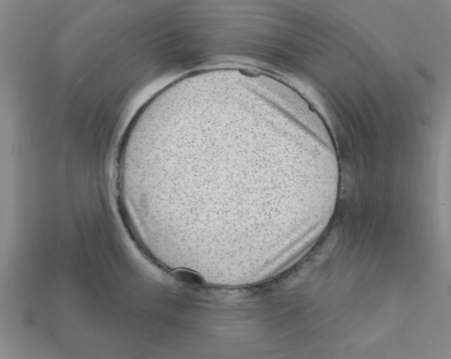 X0000111941003200909071256