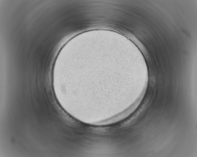 X0000111941004200909071256