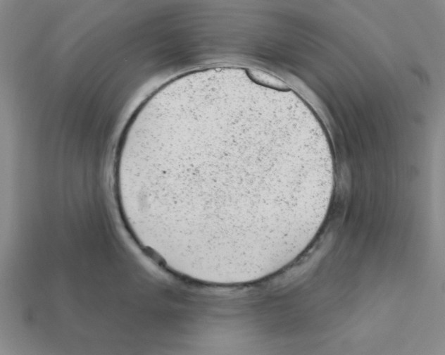 X0000111941005200909071256