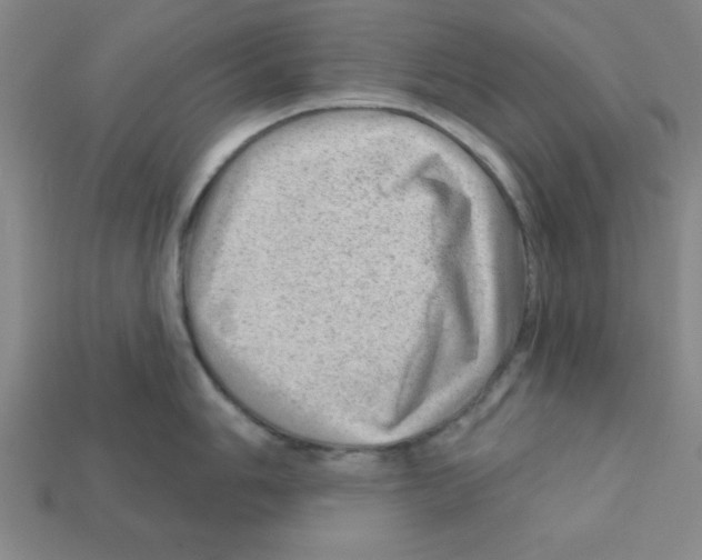 X0000111941006200909071256