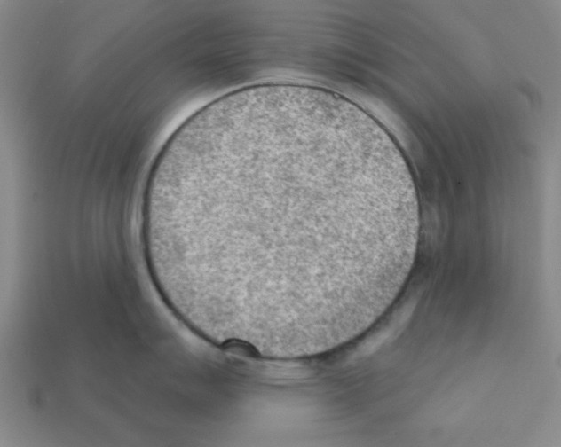 X0000111941007200909071256
