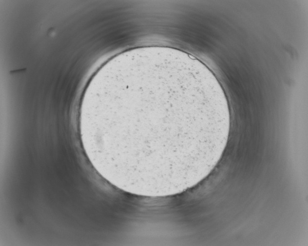 X0000111941008200909071256