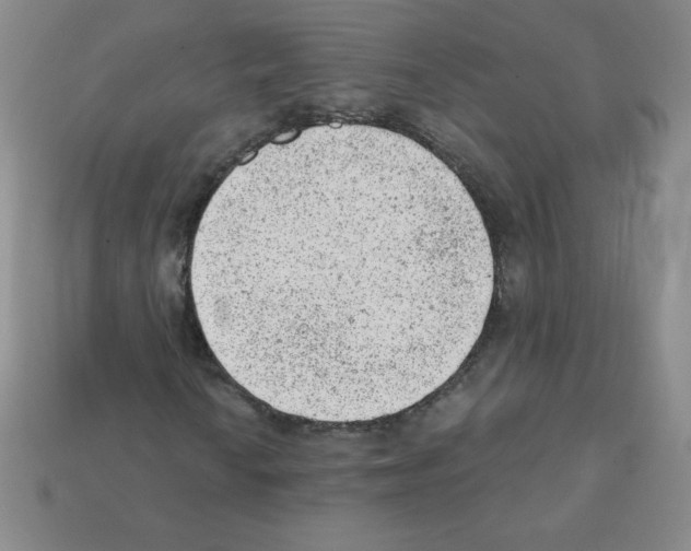 X0000111941010200909071255