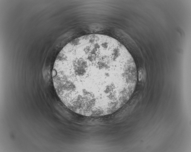 X0000111941011200909071255