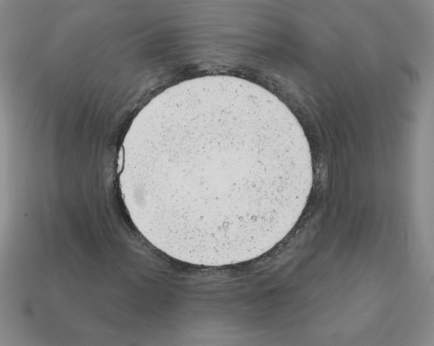 X0000111941012200909071255