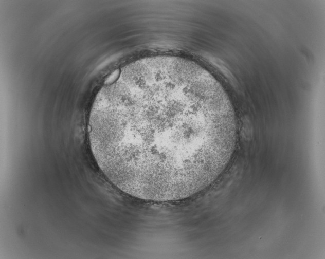 X0000111941015200909071255