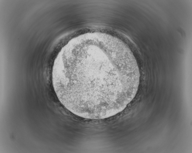 X0000111941016200909071255