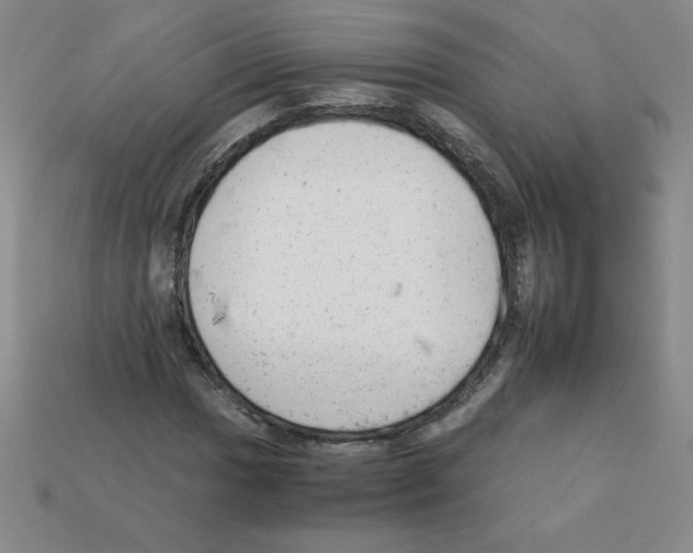 X0000111941017200909071255