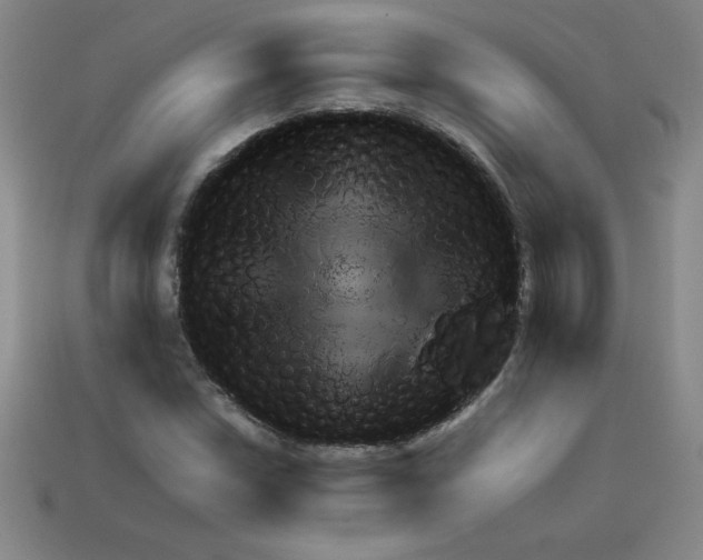 X0000111941018200909071255