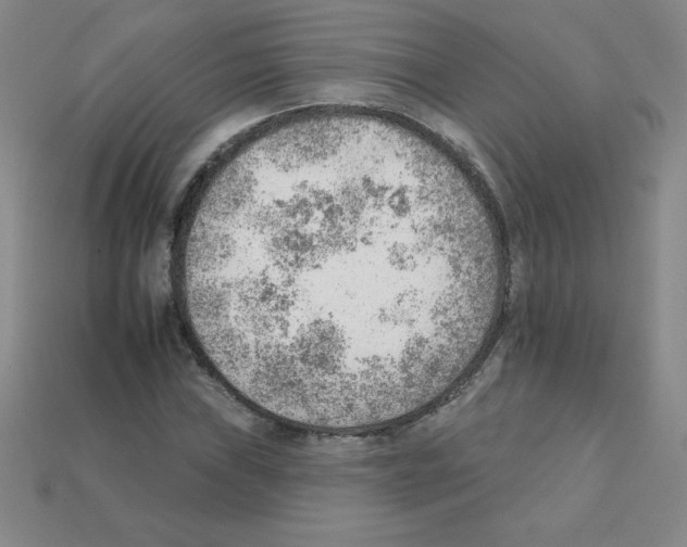 X0000111941019200909071255