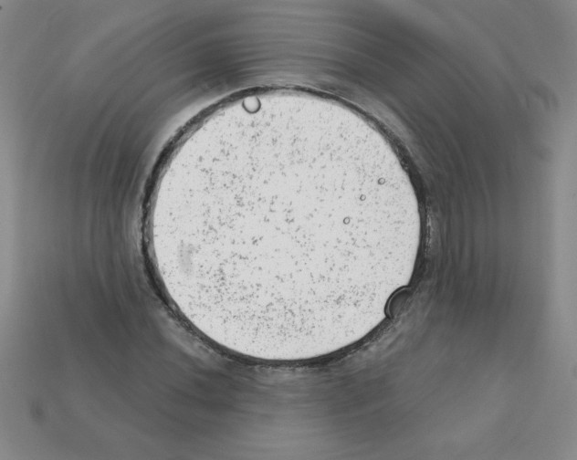 X0000111941020200909071255