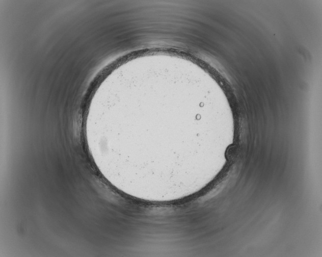 X0000111941021200909071255